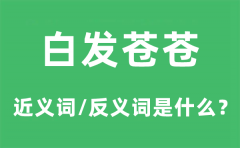 白发苍苍的近义词和反义词是什么_白发苍苍是什么意思?