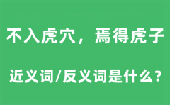 不入虎穴,焉得虎子的近义词和反义词是什么_不入虎穴,焉得虎子是什么意思?