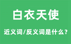 白衣天使的近义词和反义词是什么_白衣天使是什么意思?