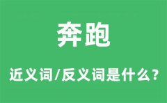 奔跑的近义词和反义词是什么_奔跑是什么意思?