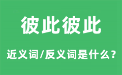 彼此彼此的近义词和反义词是什么_彼此彼此是什么意思?