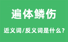 遍体鳞伤的近义词和反义词是什么_遍体鳞伤是什么意思?