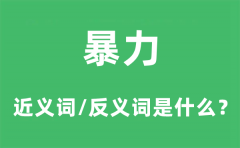 暴力的近义词和反义词是什么_暴力是什么意思?