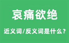 哀痛欲绝的近义词和反义词是什么_哀痛欲绝是什么意思?