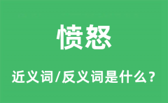愤怒的近义词和反义词是什么_愤怒是什么意思?