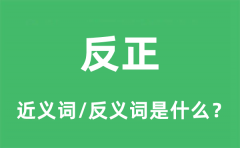 反正的近义词和反义词是什么_反正是什么意思?