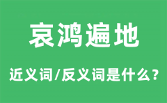 哀鸿遍地的近义词和反义词是什么_哀鸿遍地是什么意思?