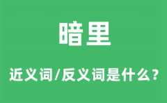 暗里的近义词和反义词是什么_暗里是什么意思?