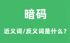 暗码的近义词和反义词是什么_暗码是什么意思?