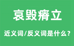 哀毁瘠立的近义词和反义词是什么_哀毁瘠立是什么意思?