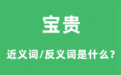宝贵的近义词和反义词是什么_宝贵是什么意思?