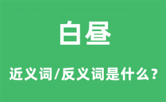 白昼的近义词和反义词是什么_白昼是什么意思?