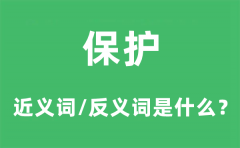 保护的近义词和反义词是什么_保护是什么意思?