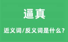 逼真的近义词和反义词是什么_逼真是什么意思?