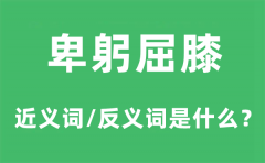 卑躬屈膝的近义词和反义词是什么_卑躬屈膝是什么意思?