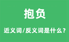 抱负的近义词和反义词是什么_抱负是什么意思?