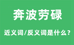 奔波劳碌的近义词和反义词是什么_奔波劳碌是什么意思?