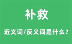补救的近义词和反义词是什么_补救是什么意思?